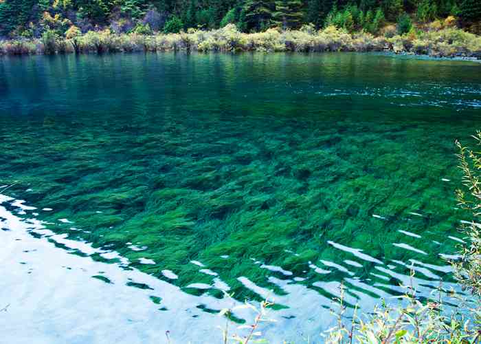 租辆大巴，从北京晃到成都，这趟横跨半个中国的旅程，到底要花多少钱？-第2张图片-成都租车公司